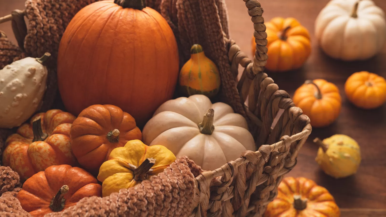 Pumpkin Power: The Surprising Health Benefits of this Fall Favourite